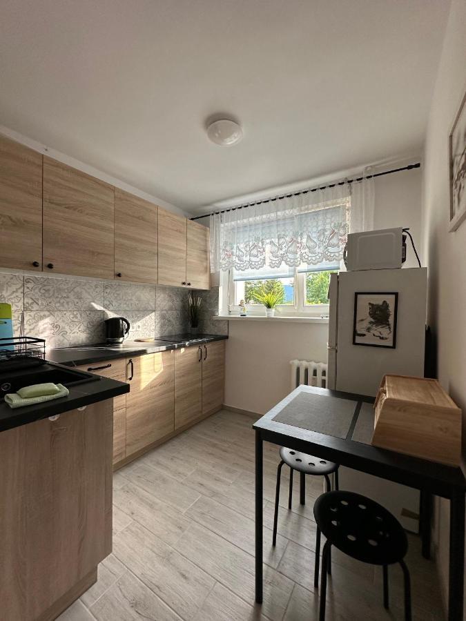 Tradycyjne Mieszkanie Przy Parku Norweskim Jelenia Góra Extérieur photo